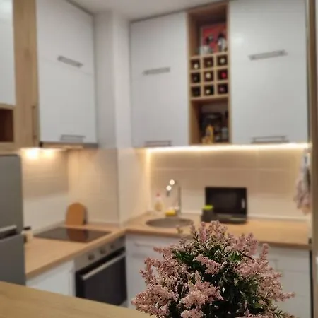 Moonze Apartman, Free Parking Belgrad Exteriör bild